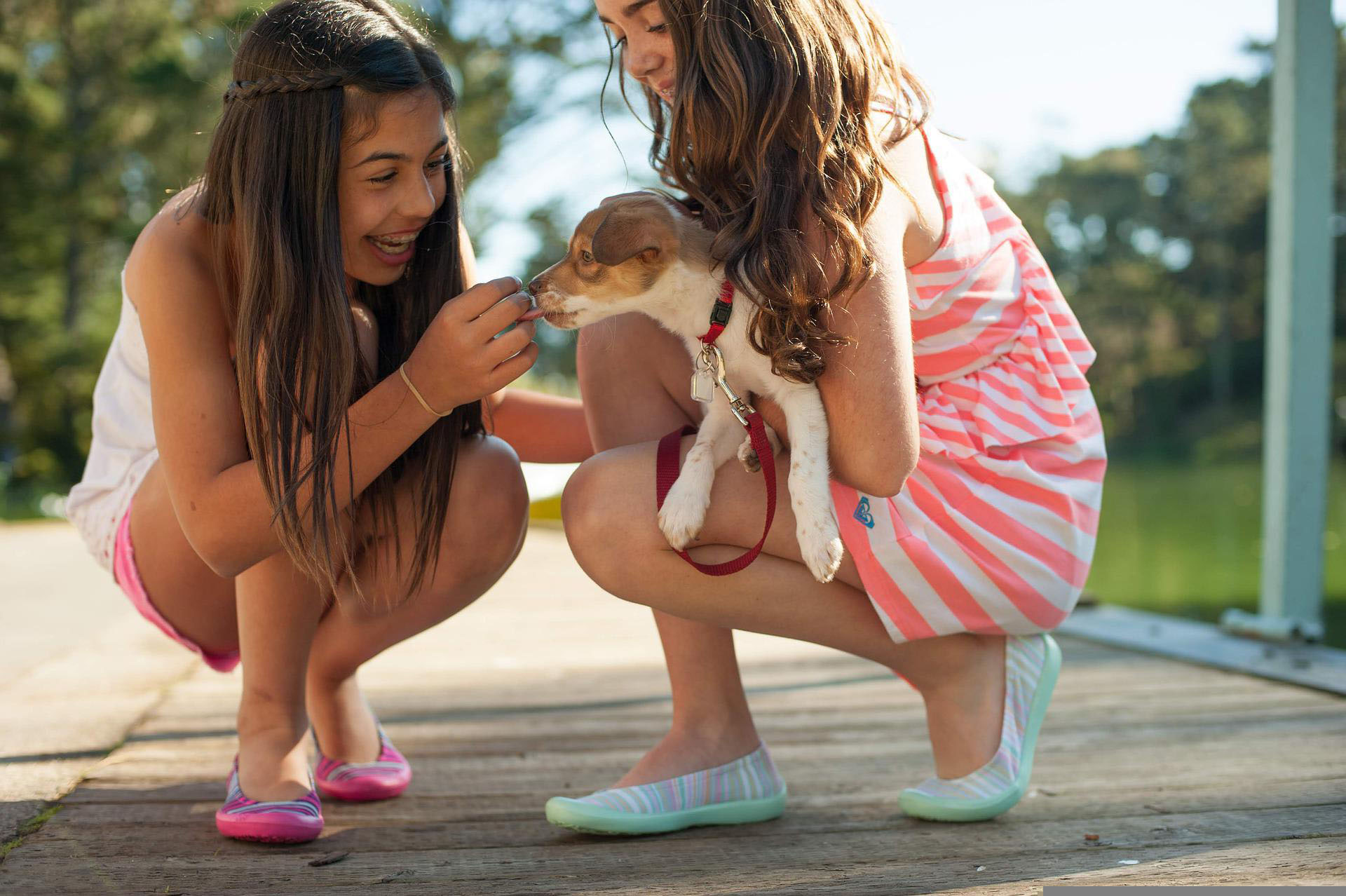 Young girls playing with puppy.