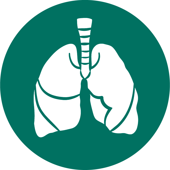 Illustration of lungs.