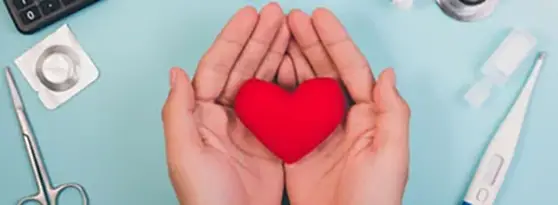 Hands holding plush heart.